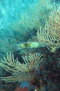 img_0053.jpg